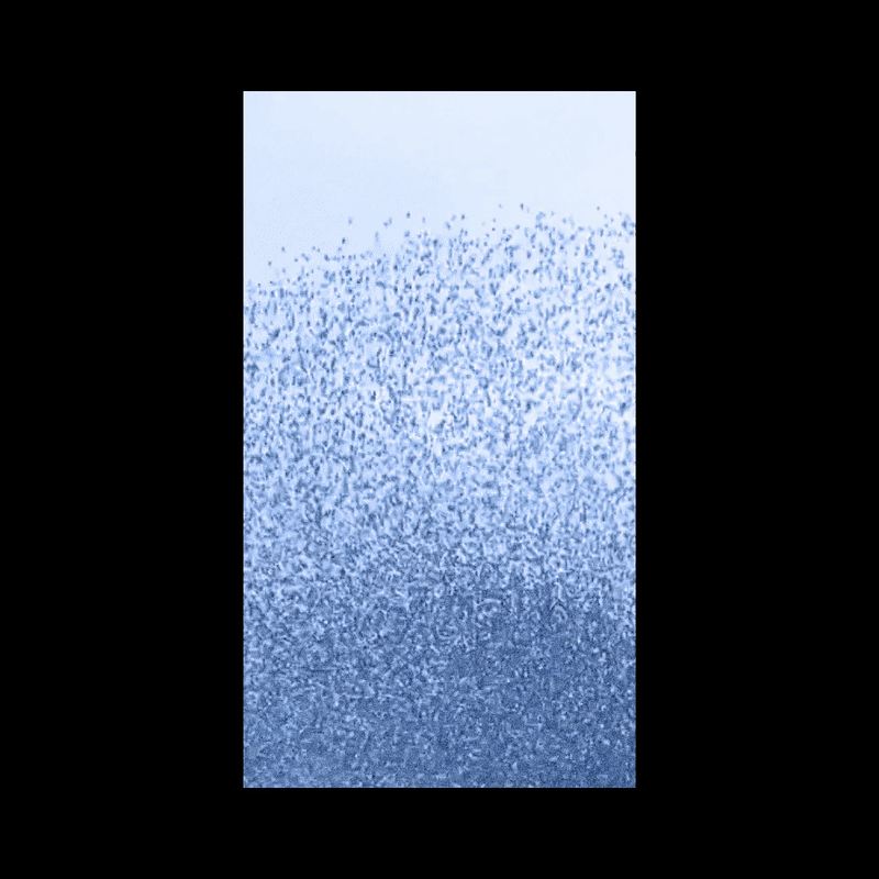 Stormi reel logo animation